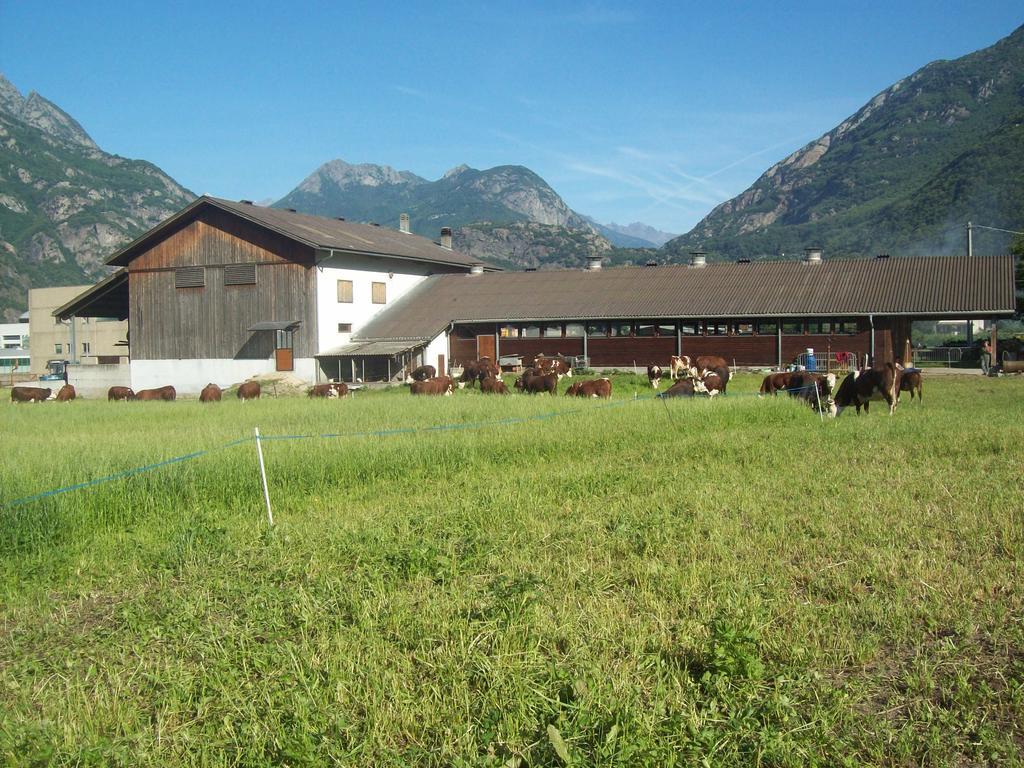 Agriturismo La Grange Pont-Saint-Martin Exterior foto